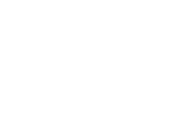 logo bot